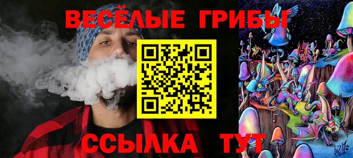 Псилоцибиновые грибы прущие грибы  Вход с VPN  наркота  Будённовск 